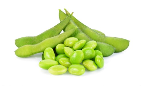 野菌是什么-野菌功效与作用网- 野菌的营养价值与功效知识,分享野生菌的功能和作用