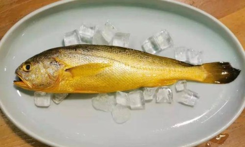 野菌的营养价值与功效-野菌功效与作用网- 野菌的营养价值与功效知识,分享野生菌的功能和作用
