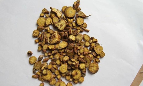野菌功效与作用网- 野菌的营养价值与功效知识,分享野生菌的功能和作用