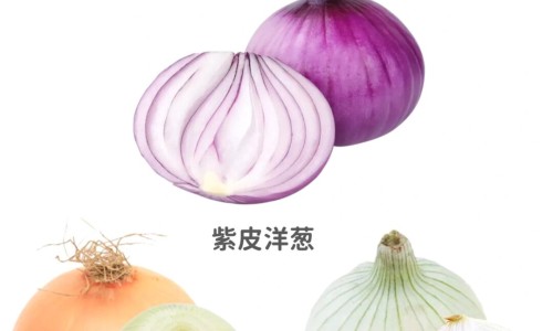 野菌的营养价值与功效-野菌功效与作用网- 野菌的营养价值与功效知识,分享野生菌的功能和作用