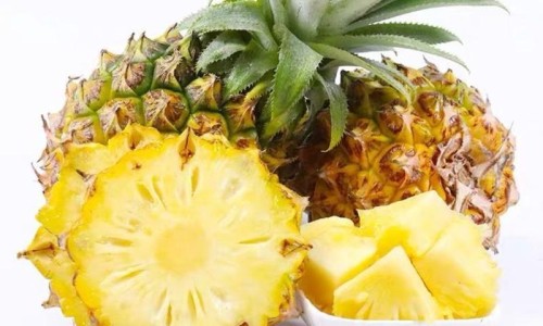 野菌的营养价值与功效-野菌功效与作用网- 野菌的营养价值与功效知识,分享野生菌的功能和作用
