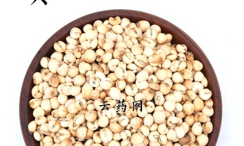 野菌功效与作用网- 野菌的营养价值与功效知识,分享野生菌的功能和作用